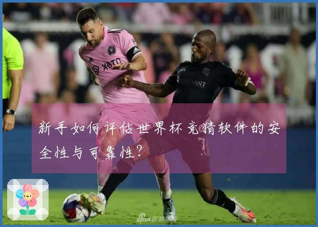 新手如何评估世界杯竞猜软件的安全性与可靠性？