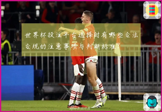 世界杯投注平台选择时有哪些合法合规的注意事项与判断标准？