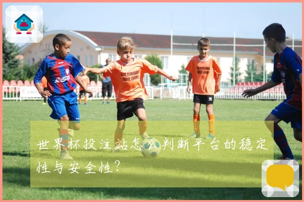 世界杯投注站怎么判断平台的稳定性与安全性？