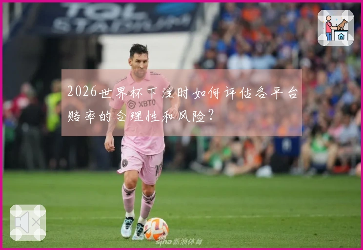 2026世界杯下注时如何评估各平台赔率的合理性和风险？