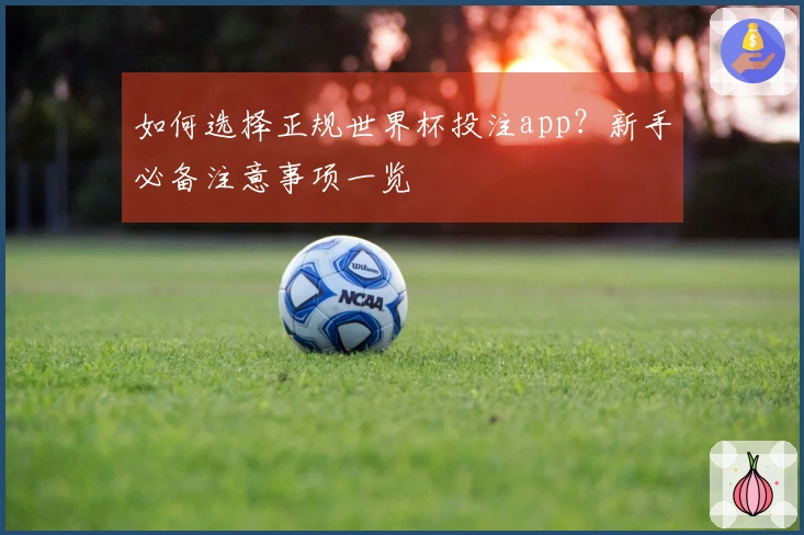 如何选择正规世界杯投注app？新手必备注意事项一览