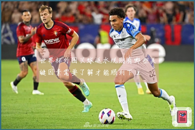 世界杯外围买球返水规则有哪些关键因素需要了解才能顺利下注