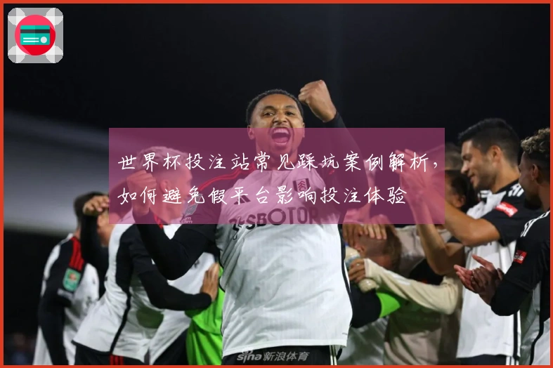 世界杯投注站常见踩坑案例解析，如何避免假平台影响投注体验