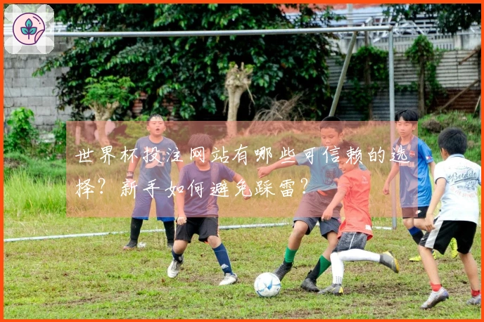 世界杯投注网站有哪些可信赖的选择？新手如何避免踩雷？