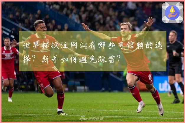 世界杯投注网站有哪些可信赖的选择？新手如何避免踩雷？