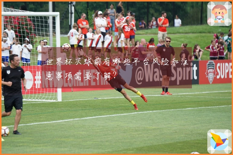 世界杯买球前有哪些平台风险和注意事项需要了解？