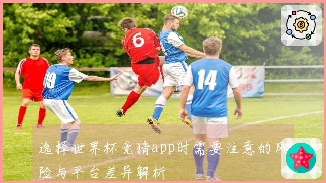 选择世界杯竞猜app时需要注意的风险与平台差异解析
