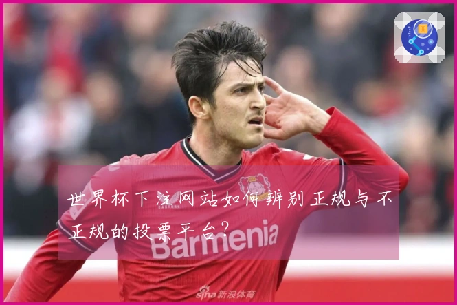 世界杯下注网站如何辨别正规与不正规的投票平台？