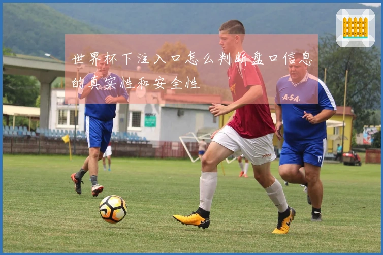 世界杯下注入口怎么判断盘口信息的真实性和安全性