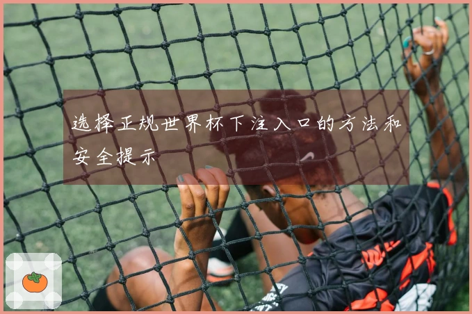 选择正规世界杯下注入口的方法和安全提示