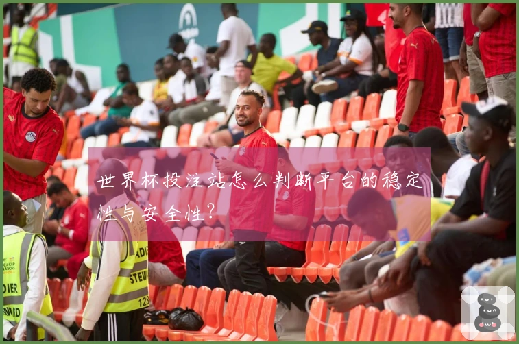 世界杯投注站怎么判断平台的稳定性与安全性？
