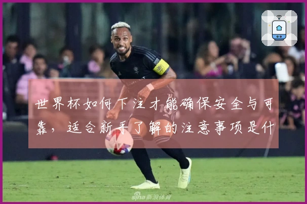 世界杯如何下注才能确保安全与可靠，适合新手了解的注意事项是什么