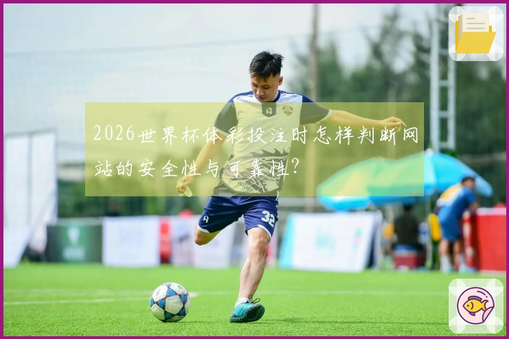 2026世界杯体彩投注时怎样判断网站的安全性与可靠性？