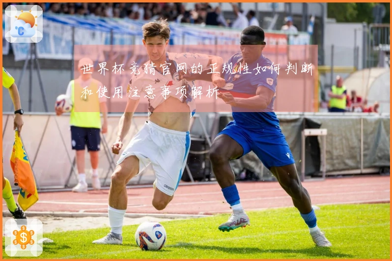 世界杯竞猜官网的正规性如何判断和使用注意事项解析