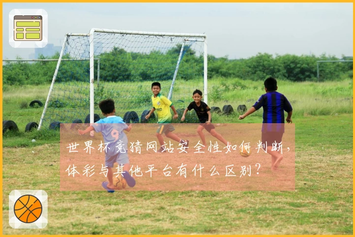世界杯竞猜网站安全性如何判断，体彩与其他平台有什么区别？