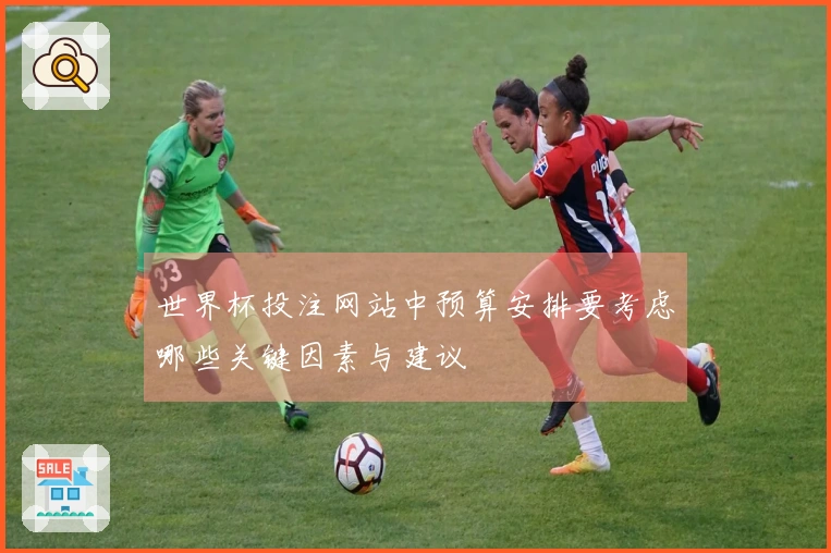 世界杯投注网站中预算安排要考虑哪些关键因素与建议